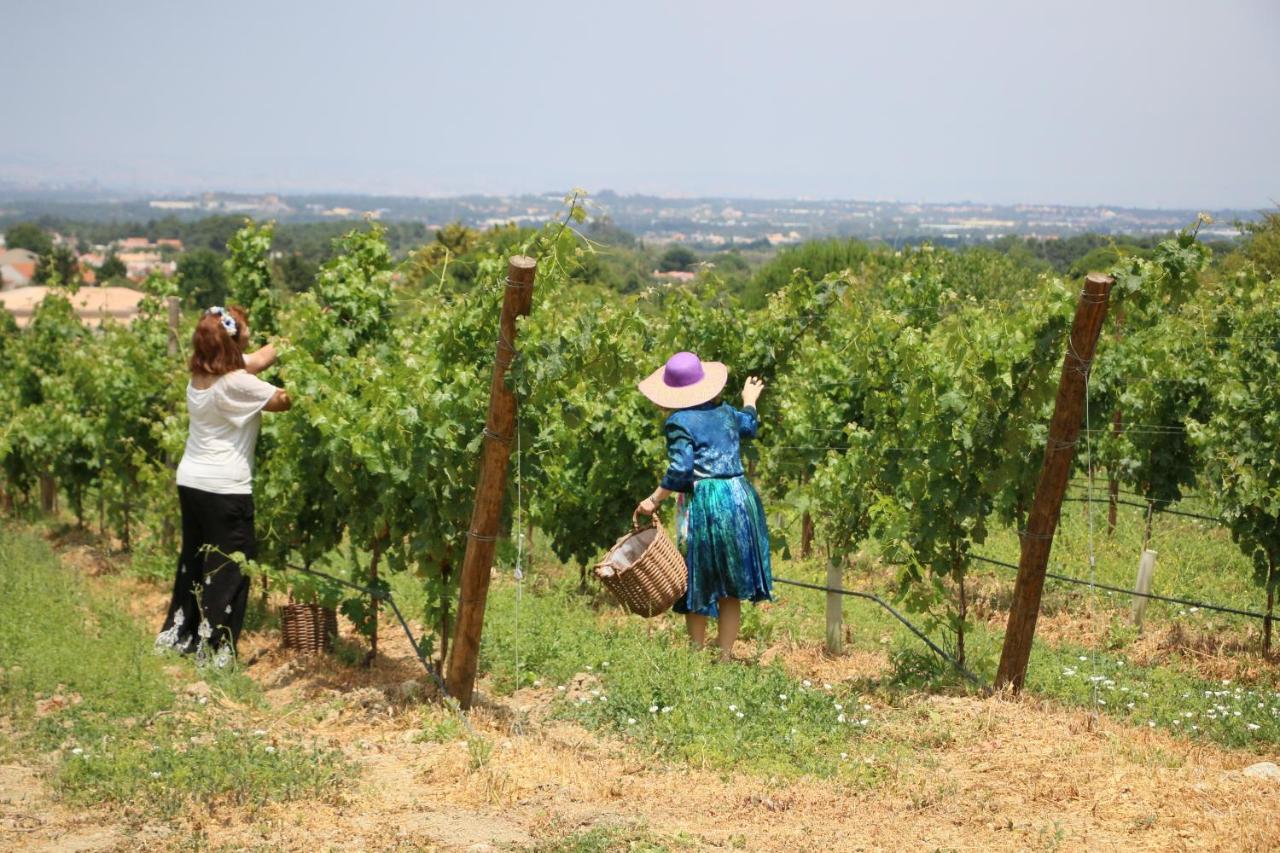 Quinta da Chapeleira em Azeitão Exterior foto